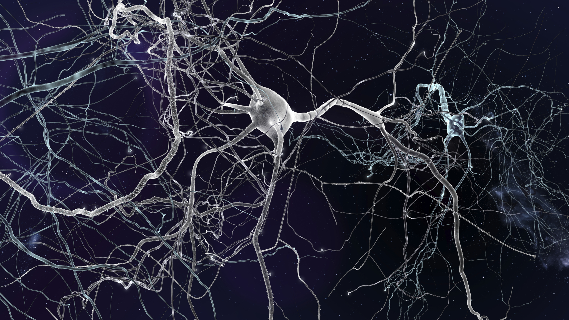 Understanding synapse degradation could lead to Alzheimer's treatment ...