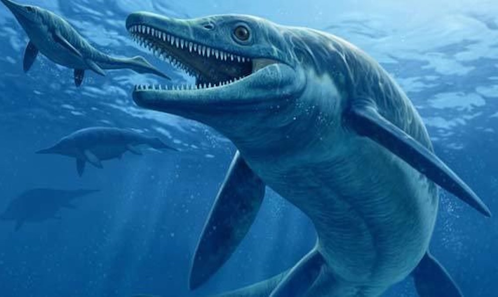 marine-dinosaurs-evolved-extremely-quickly-study-finds-redorbit